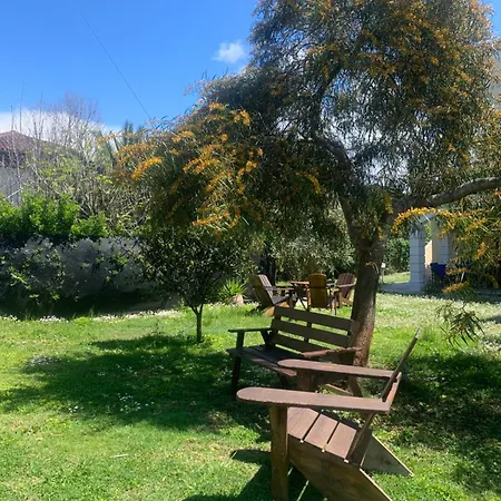 Pangea Corfu 斯达林