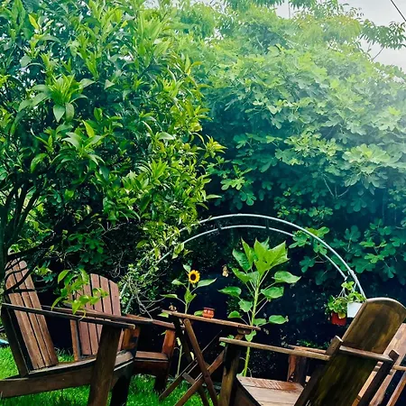 Pangea Corfu 别墅 斯达林