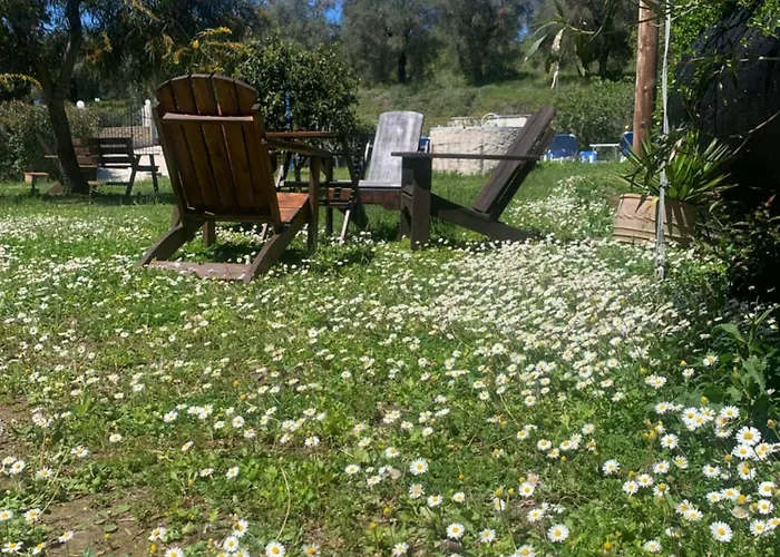 Pangea Corfu فيلة Sidárion