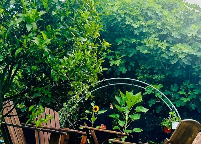 Pangea Corfu فيلة Sidárion